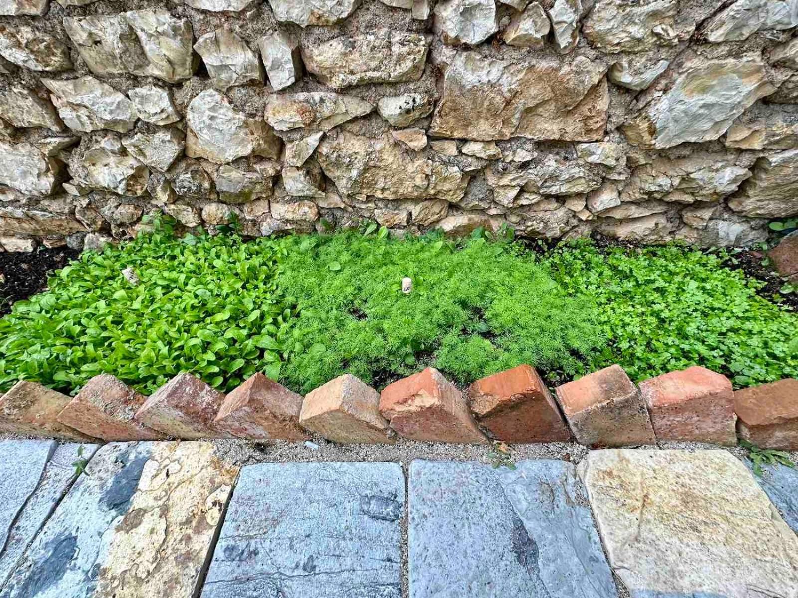 Villa Vista Himarë Exterior foto